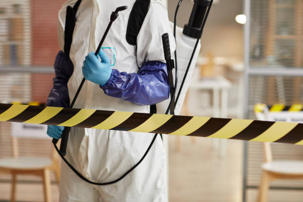 Professional Sewage Cleanup technician working in Montrose, VA